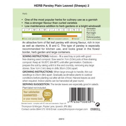 Herb Parsley Plain Leaved (Sheeps) 2