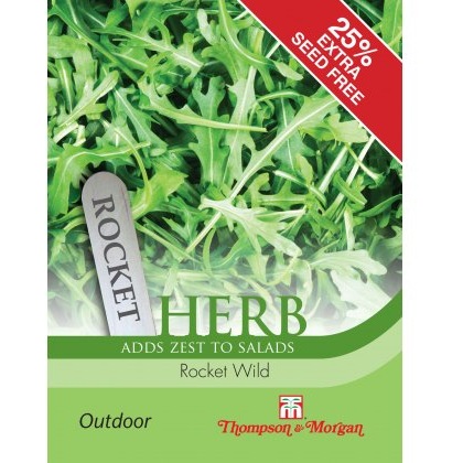 Herb Rocket Wild