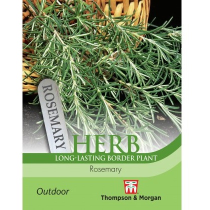 Herb Rosemary