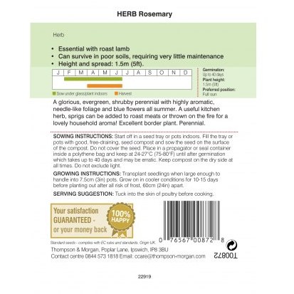 Herb Rosemary