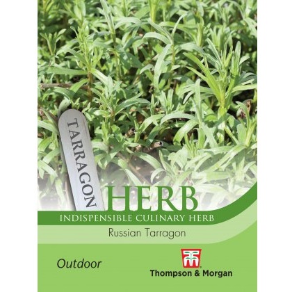Herb Russian Tarragon
