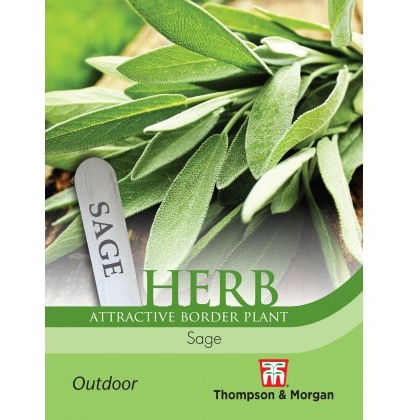 Herb Sage