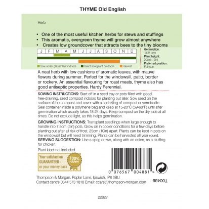 Herb Thyme Olde English