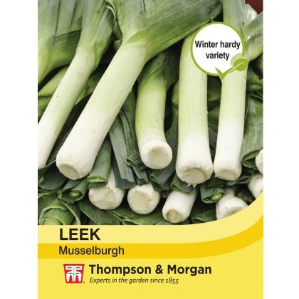 Leek Musselburgh