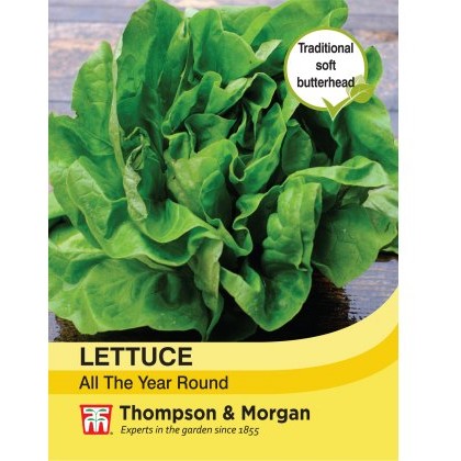 Lettuce All Year Round