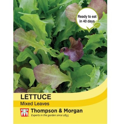 Lettuce Leaves Mixed