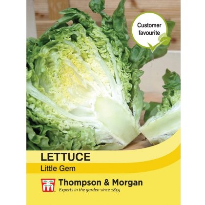 Lettuce Little Gem