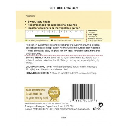Lettuce Little Gem