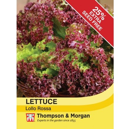 Lettuce Lollo Rossa