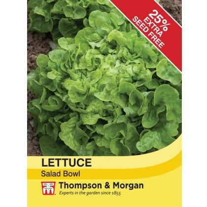 Lettuce Salad Bowl