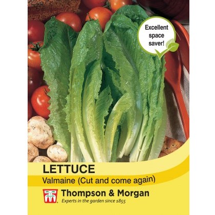 Lettuce Valmaine (Cut and Come Again)