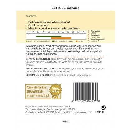 Lettuce Valmaine (Cut and Come Again)