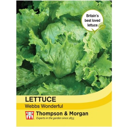 Lettuce Webbs Wonderful