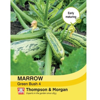 Marrow Green Bush 4