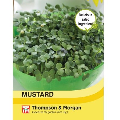 Mustard