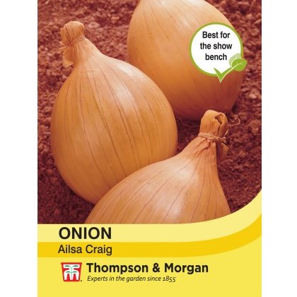 Onion Ailsa Craig