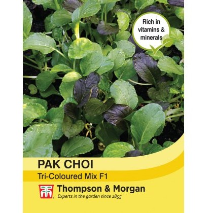Pak Choi (Chinese Cabbage) Tricoloured Mix F1 Hybrid