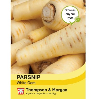 Parsnip White Gem