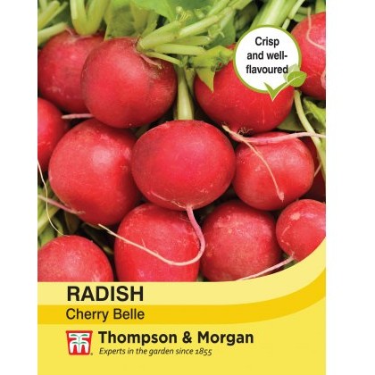 Radish Cherry Belle