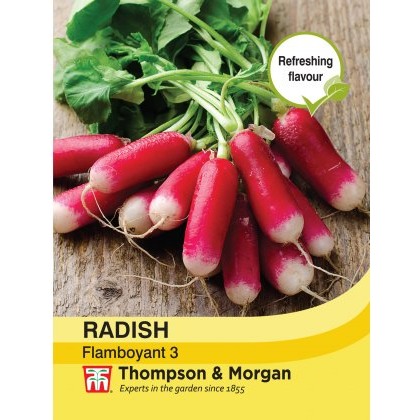 Radish Flamboyant 3
