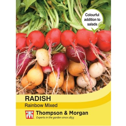 Radish Rainbow Mixed