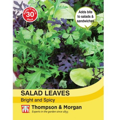 Salad Leaves - Bright and Spicy
