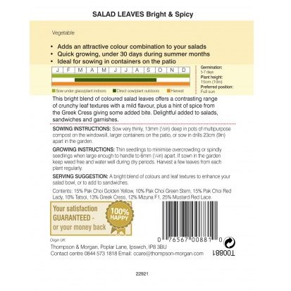 Salad Leaves - Bright and Spicy