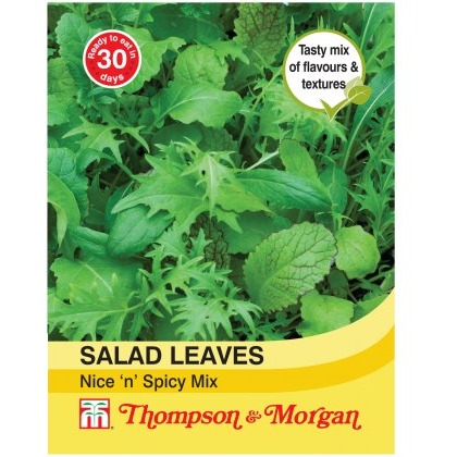 Salad Leaves - Nice n Spicy Mixed