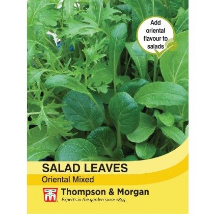 Salad Leaves - Oriental Mixed