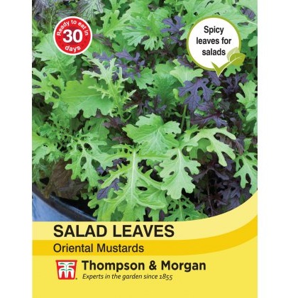Salad Leaves - Oriental Mustards
