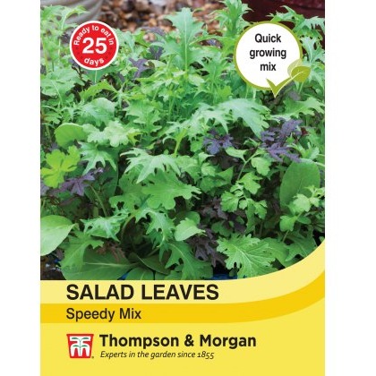 Salad Leaves - Speedy Mix