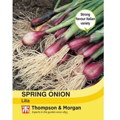 Spring Onion Lilia