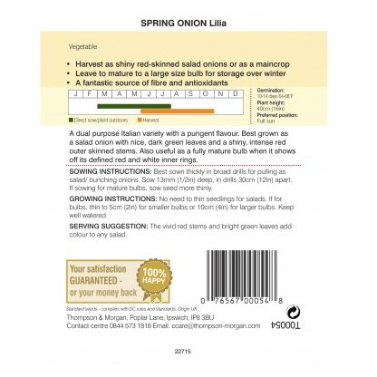 Spring Onion Lilia