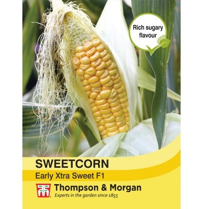 Sweetcorn Early Xtra Sweet F1 Hybrid