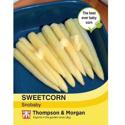Sweetcorn Snobaby