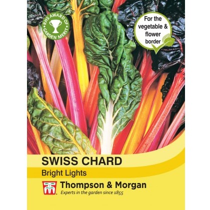 Swiss Chard Bright Lights