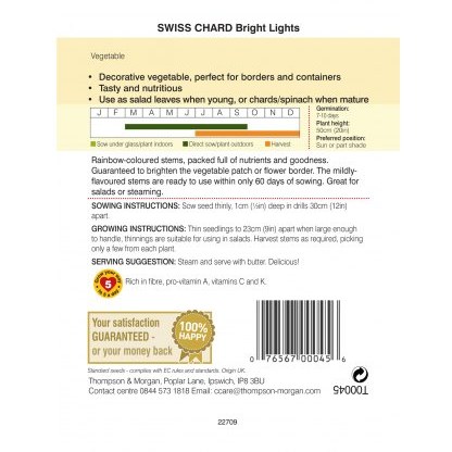 Swiss Chard Bright Lights