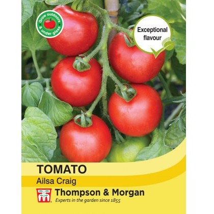 Tomato Ailsa Craig