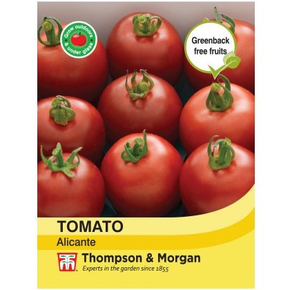 Tomato Alicante