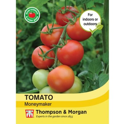 Tomato Moneymaker