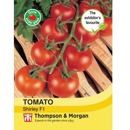 Tomato Shirley F1 Hybrid