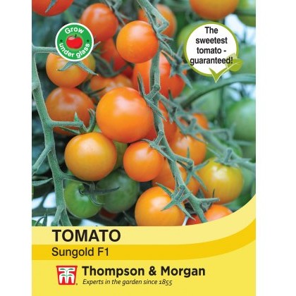 Tomato Sungold F1 Hybrid