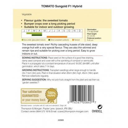 Tomato Sungold F1 Hybrid