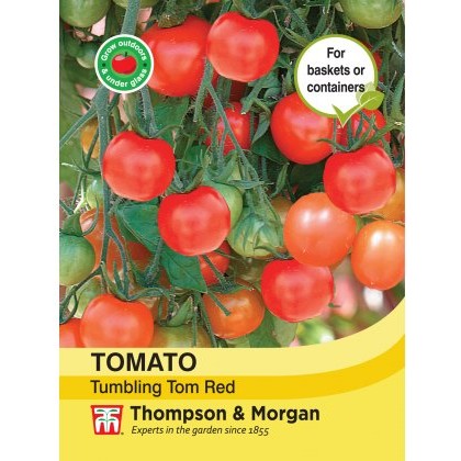 Tomato Tumbling Tom Red