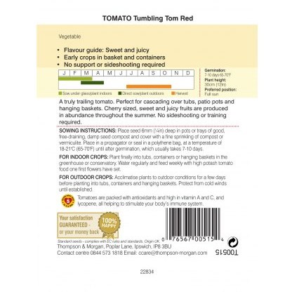 Tomato Tumbling Tom Red