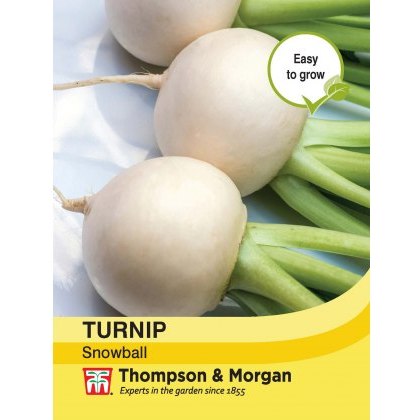 Turnip Snowball