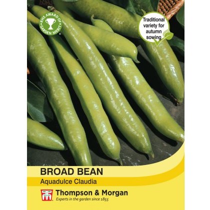 Broad Bean Aquadulce Claudia