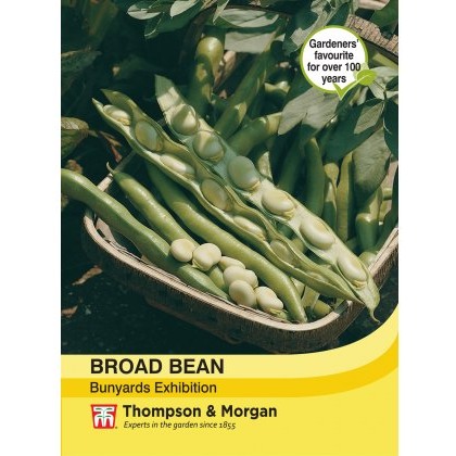 Broad Bean Bunyards Exhibition