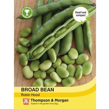 Broad Bean Robin Hood