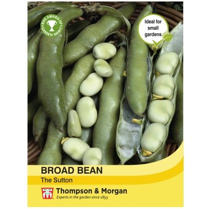 Broad Bean The Sutton